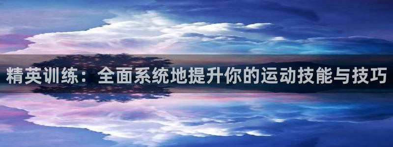 必一运动：精英训练：全面系统地提升你的运动技能与技巧
