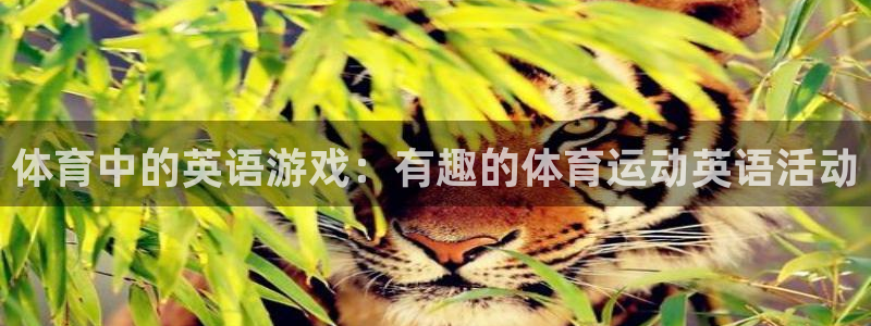 必一运动体育官网入口：体育中的英语游戏：有趣的体育运动英语活动