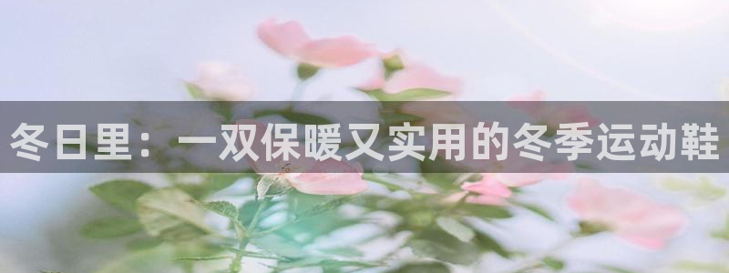 bsports必一运动：冬日里：一双保暖又实用的冬季运动鞋