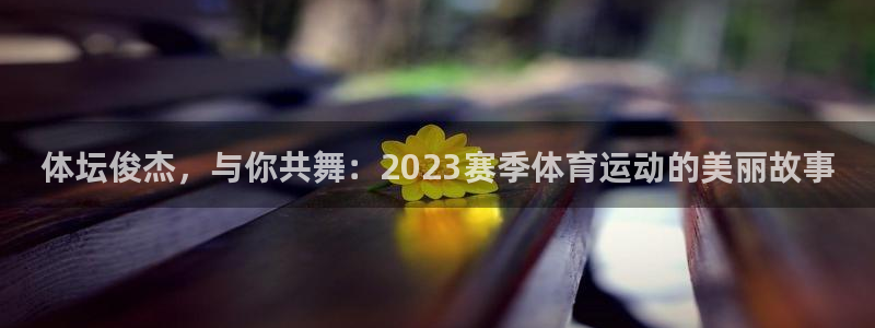 bsports官网 必一运动：体坛俊杰，与你共舞：2023赛季体育运动的美丽故事