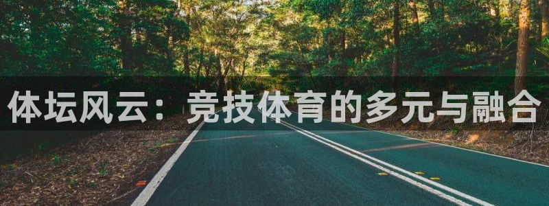 bsports官网 必一运动：体坛风云：竞技体育的多元与融合