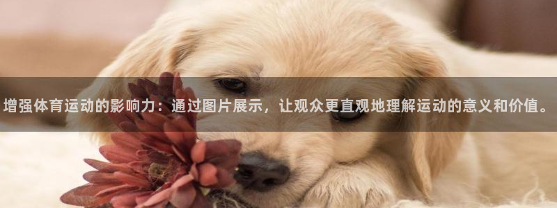 必一运动体育：增强体育运动的影响力：通过图片展示，让观众更直观地理解运动的意义和价值。