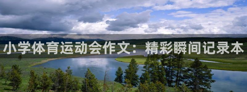 bsports官网 必一运动：小学体育运动会作文：精彩瞬间记录本