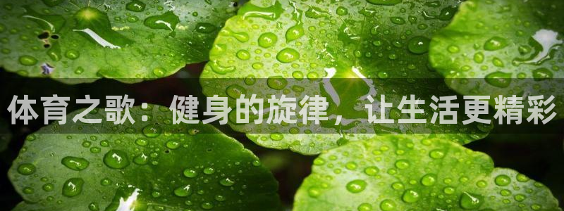 必一运动官网：体育之歌：健身的旋律，让生活更精彩