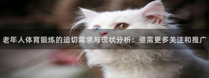 必一运动体育：老年人体育锻炼的迫切需求与现状分析：亟需更多关注和推广
